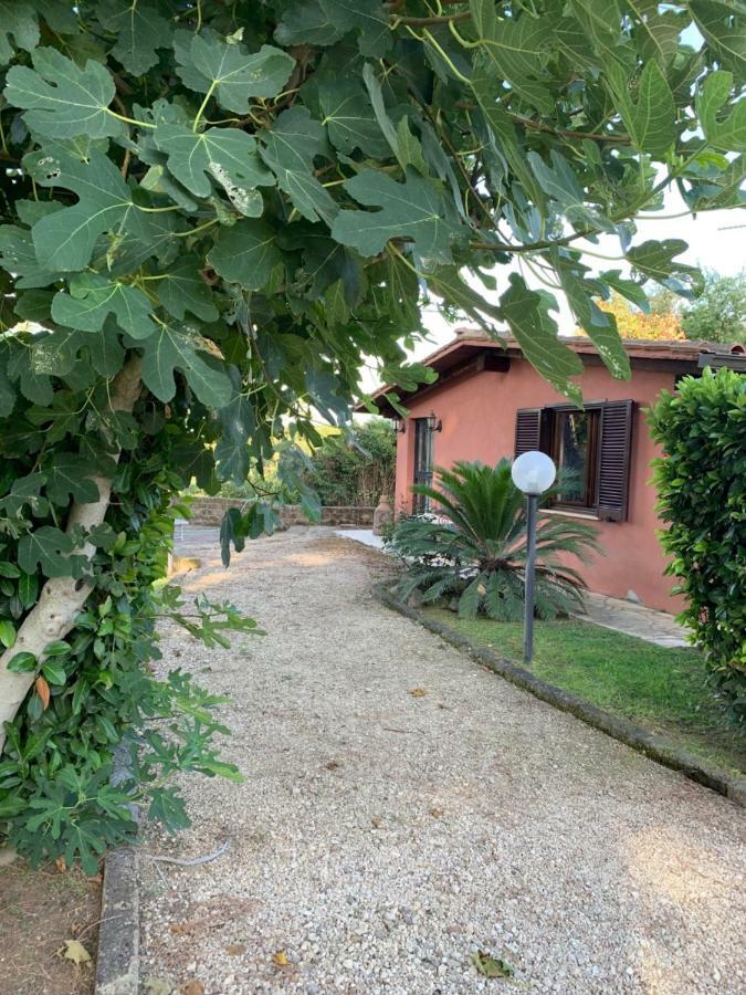 La Casa Di Irene Nel Golf Club Villa Rom Eksteriør billede